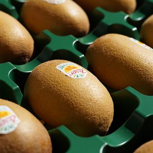 제스프리 썬골드키위, 점보, 20과 3.1kg, 1박스(22,900원/무료)