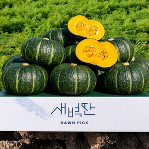 보우짱 미니 단호박 4.5kg (네멤9,710원 / 네멤무료)