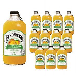 분다버그 트로피칼 망고 드링크, 375ml, 12개 (22,770원)