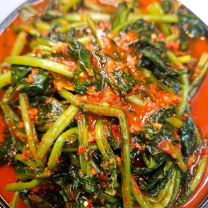 열무김치 국내산 당일담금 1kg (7,400원/무료)