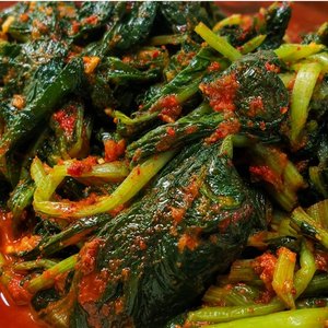 열무김치 당일담금 1kg (6,900원/무료)