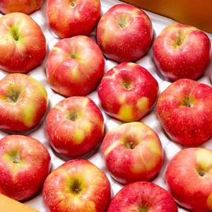 홍로 사과 4kg 20-25과 (13,950원/무료)