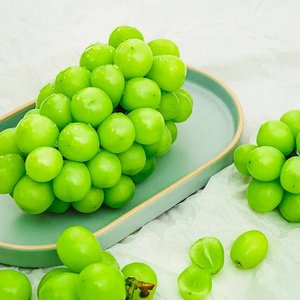 샤인머스켓 4kg 4-6수 (15,770원) (무료)