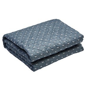 HanilMedical 탄소열선 고급 전기요 HL-D210, 스몰독, 더블(135 x 180 cm) (29,900원)