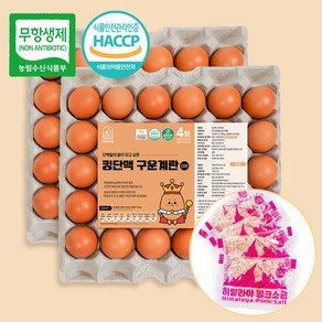 계란의정원 킹단백 구운계란 대란 무항생제 햅썹인증, 60구, 1개 (21,650원)