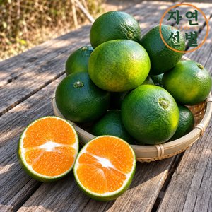 제주 노지감귤 2kg (5,750원 / 무료)