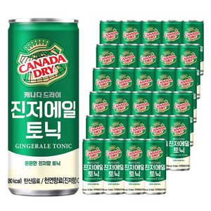 캐나다드라이 진저에일 토닉, 250ml, 30개 (13,190원)