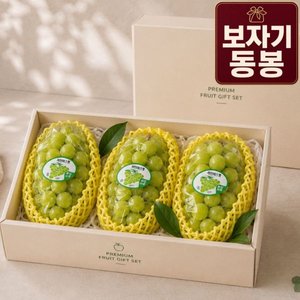 산지직송 샤인머스캣 2kg 선물세트(18,330원/무배)