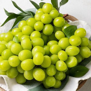 샤인머스켓 2kg 내외 4-5수 (11,990원/무료)