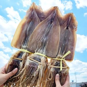 국내산 마른오징어 파품 400g내외 (10미) (25,900원/무료)