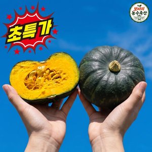 제주산 미니밤호박 5kg (11,700원) (무료)