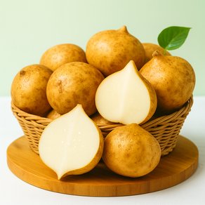 산들해 [산들해] 슈퍼푸드 최상품 히카마, 1박스, 5kg (13,800원)