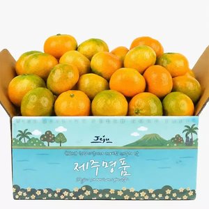 제주 하우스 감귤 1.8kg 로얄과 (12,560원/무료)