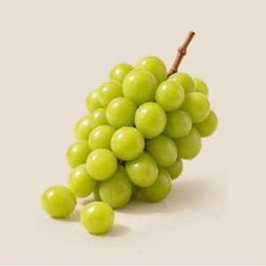 팜모닝 실속형 경북 샤인머스켓 2kg (4~5수) (14,390원/무료)