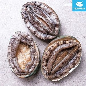 완도 활전복 1kg 9-10미 (15,970원) (무료)