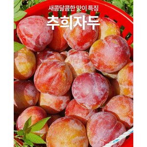 추희자두 3kg 고당도 150g 20개 내외 20,900원 / 무배