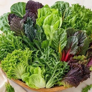 국내산 모듬 쌈채소 랜덤 1kg (11,970원/무료)