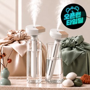프롬비 생수병 가습기 (19,800원/무료)