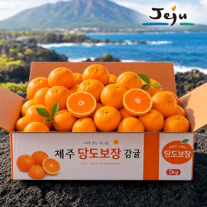 [서귀포농장직판] 11brix 당도선별 귤 제주 감귤 초특가, 1박스, 고당도 감귤 5kg (18,940원)