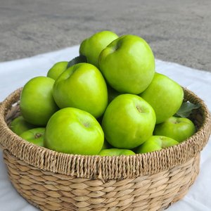 청사과 아오리 썸머킹 4kg (10,900원/무배)