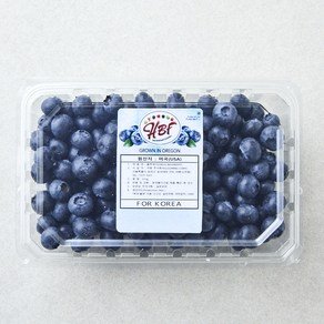 미국산 블루베리, 310g, 1개 (7,990원)