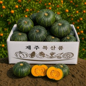 [폭탄세일] 고당도 정품 제주 밤호박 보우짱, 1박스, 3kg(로얄과) (9,980원)