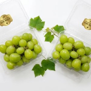 17brix 이상 상단 로얄선별 샤인머스켓 400g4팩 (12,910원/무배)