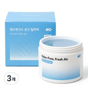 청소연구소 실내 고체 탈취제 클린솝향 300g 공간 탈취제 초강력 냄새제거 화장실 집안 담배냄새 제거, 3개, 300ml (39,660원)