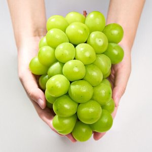 샤인머스켓 2kg (11,440원/무배)