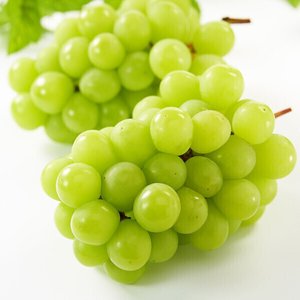 샤인머스켓 2kg 3수 로얄과 (18,980원/무배)
