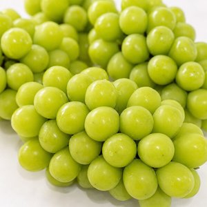 김천 16brix 하우스 샤인머스켓 2kg 4-5수(8,800원/무료)