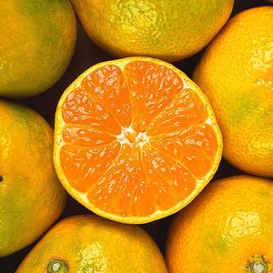 제주 햇 조생감귤 4.5kg 로얄과(2S-M) (11,924원) (무료)