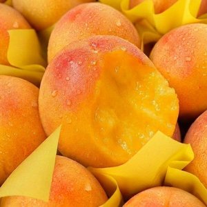 의성 햇살어린 말랑이 황도 복숭아 4kg 15~18과 (19,320원/무료)
