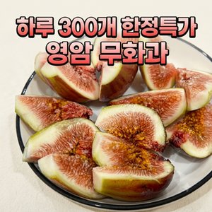무화과 500g (11,400원) (무료)