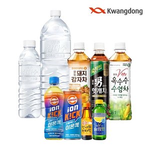 비타500 이온킥 제로 PET 500ml 24입 (17,885원) (무료)
