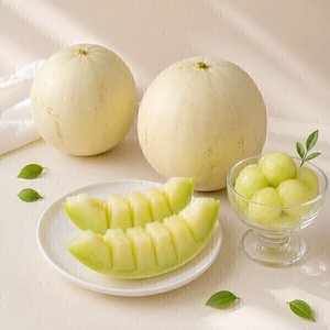 허니듀 멜론 2수 (3.4~4.4kg내외) (14,030원) (무료)
