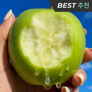 아오리사과 1kg (5,850원/무료)