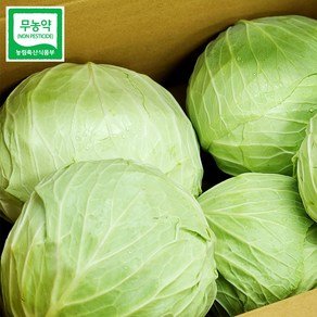 울팜 아삭 달달 국내산 친환경 양배추 제주 무안 밀양, 3kg, 1박스 (6,880원)