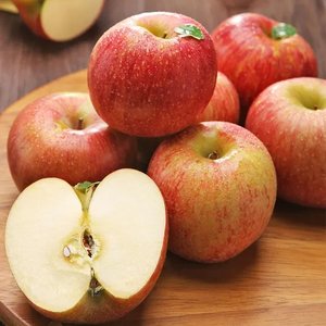 햇 빨간사과 홍로 2kg 13과 소과 외 다양 (8,480원~/무료)