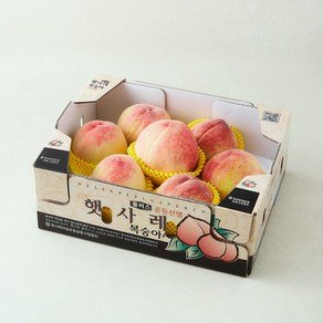 햇사레 GAP 인증 당도선별 부드러운 백도복숭아 5~8입, 1개, 1.8kg (16,440원)