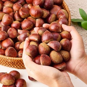 산지직송 부여 함양 산청 햇 밤 중 사이즈2kg(7,420원/무료)