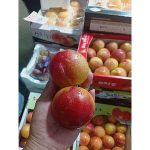 추희자두 대과 3kg 100g급 30개 내외 고당도 (17,700원/
