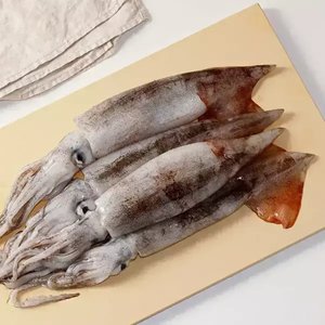 T멤버십 국내산 당일조업 서해안 생물 오징어 얼음포장 700~800g (3~5미) (12,400원/무료)