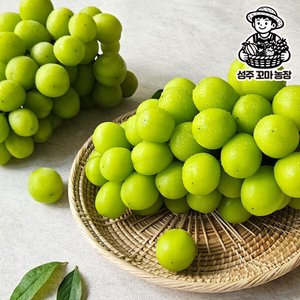 샤인머스캣 2KG (4~6수) (8,560원) (무료)