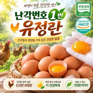 프리미엄 유정란 40구 난각번호 1번 (15,820원/무배)