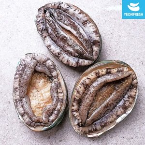 완도 활전복 1kg 9-10미 (14,720원) (무료)
