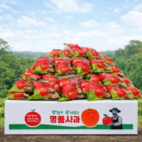 고당도선별 세척사과 껍질째먹는 꿀사과, 1박스, 5kg (24,800원)