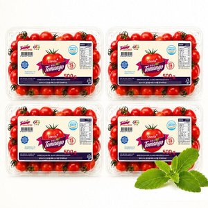스테비아 대추방울토마토 토망고 2kg (500g x4팩) (10,920원/무배)