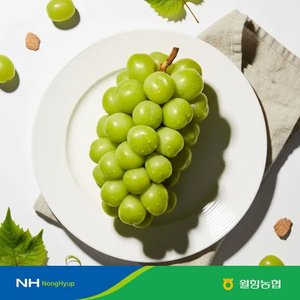 (농할30%+5%) 고당도 샤인머스켓 당도선별 특품 2kg 4수 (7,980원/무료)