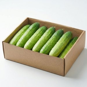 국내산 파프리카 3kg (14,310원/무료)